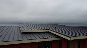 Best Roof Ventilation Installation  in Copperas Cove, TX